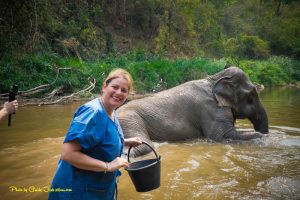 elephant tours in chiang mai