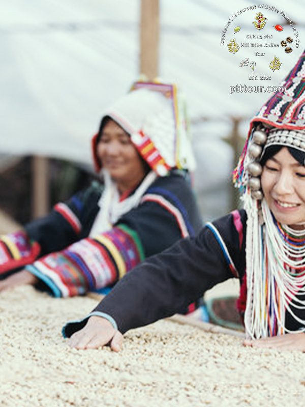 Hill Tribe Homestay Experience with Coffee and Agriculture Trip