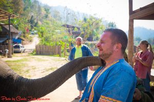 friend of elephant tour