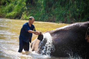 Elephant Mahout Experience Chiang Mai.