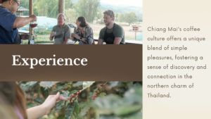 Chiang mai Coffee Experience