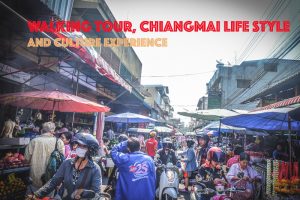 Chiangmai tour