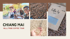 Chaing Mai hiiltribe coffee tour