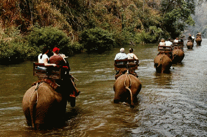 elephant-ride-chiang-mai-mae-ta-man private tour chiangmai