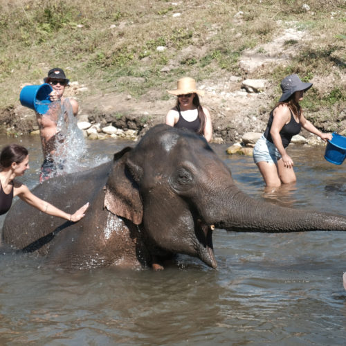 Unforgettable Coffee Adventure in Chiang Mai