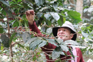 Chiang Mai ethical coffee tour