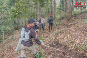 Chaing Mai hiiltribe coffee tour