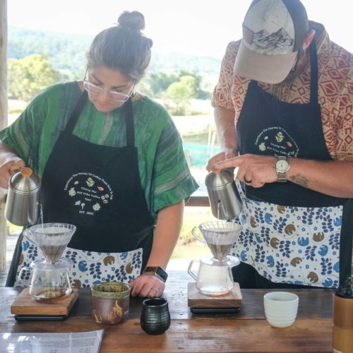 Uncharted Brews: Unveiling the Hidden Gems of Chiang Mai Coffee with