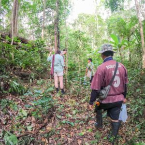 Chiang Mai Tour, Chiang Mai Hill Tribe Coffee Tour