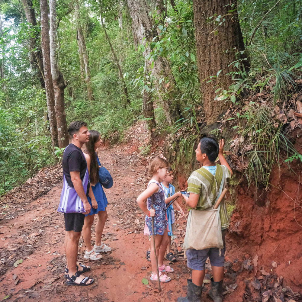 Chiang Mai Coffee experiences