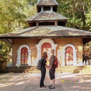 Visit Wat Palad (Chiang Mai)