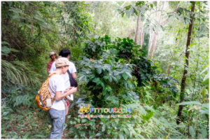 Private tour Guide Chiangmai