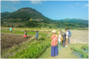 Chiang Mai Tour, Chiang Mai Hill Tribe Coffee Tour