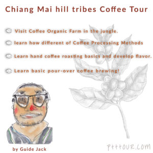 Chiang Mai Tour, Chiang Mai Hill Tribe Coffee Tour