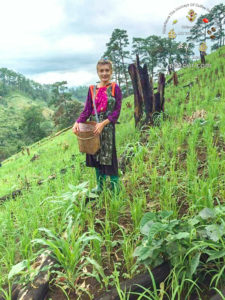 Chiang Mai Tour, Chiang Mai Hill Tribe Coffee Tour