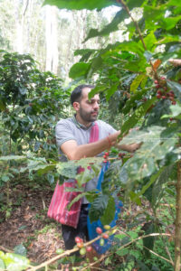 Chaing Mai hiiltribe coffee tour